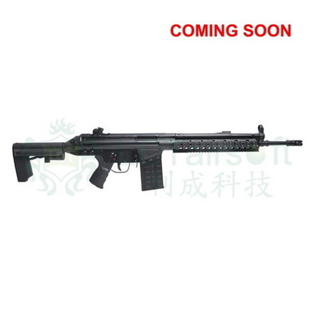 LCT Airsoft G3 ( LC-3) AR